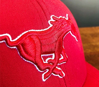 LFGO Bordado 3D Puff